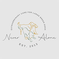 never-alone-logo.jpg